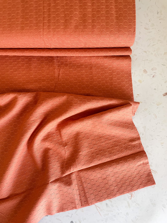 Fableism Forest Forage Daisies – Honeycomb Grapefruit