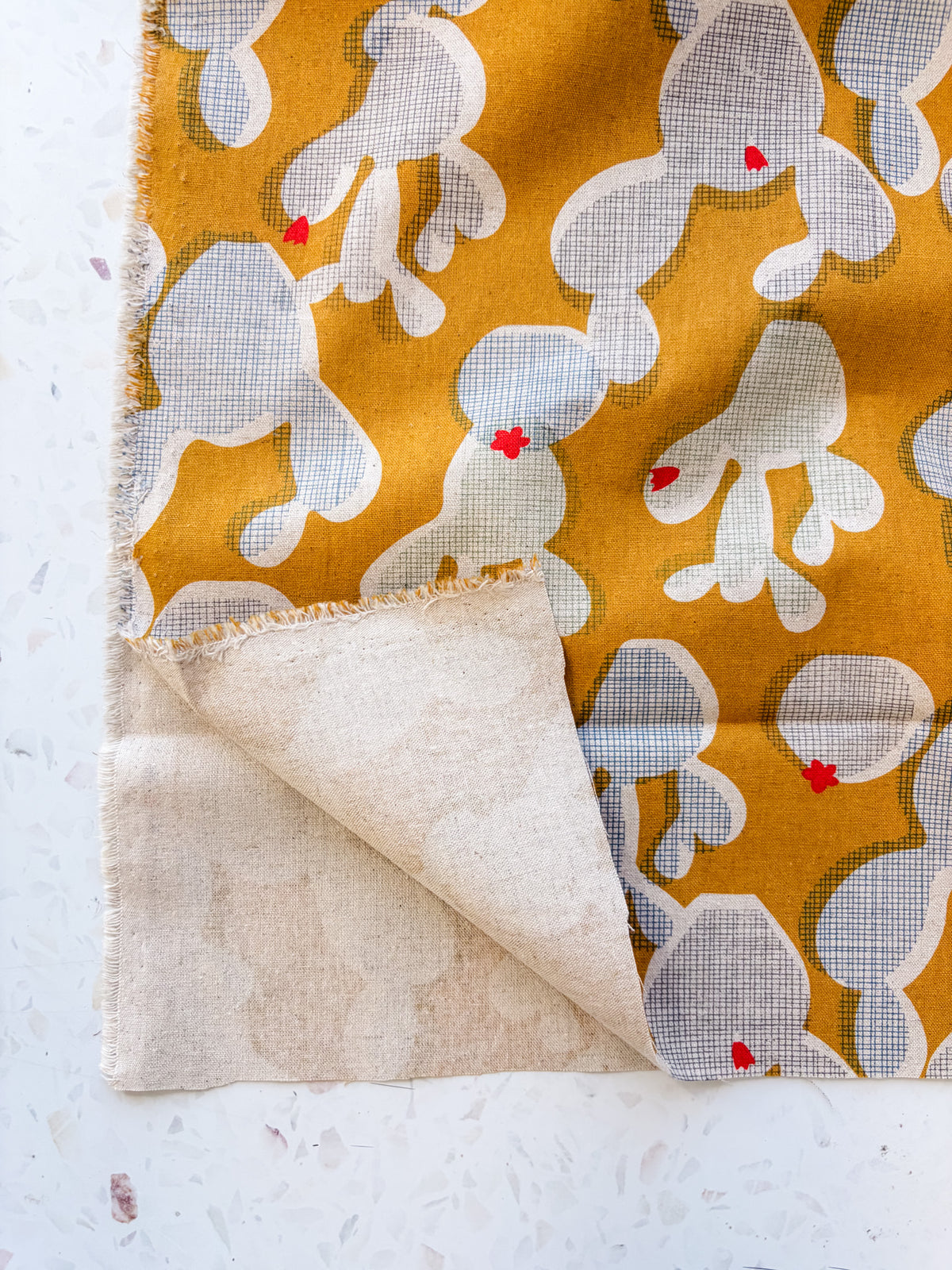 Golden Hour Cactus | Cotton Canvas