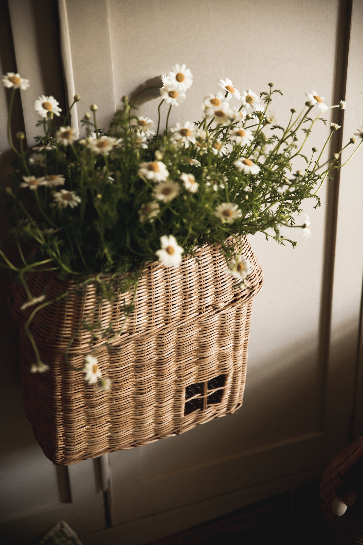 Olli Ella Rattan Hanging House Hutch