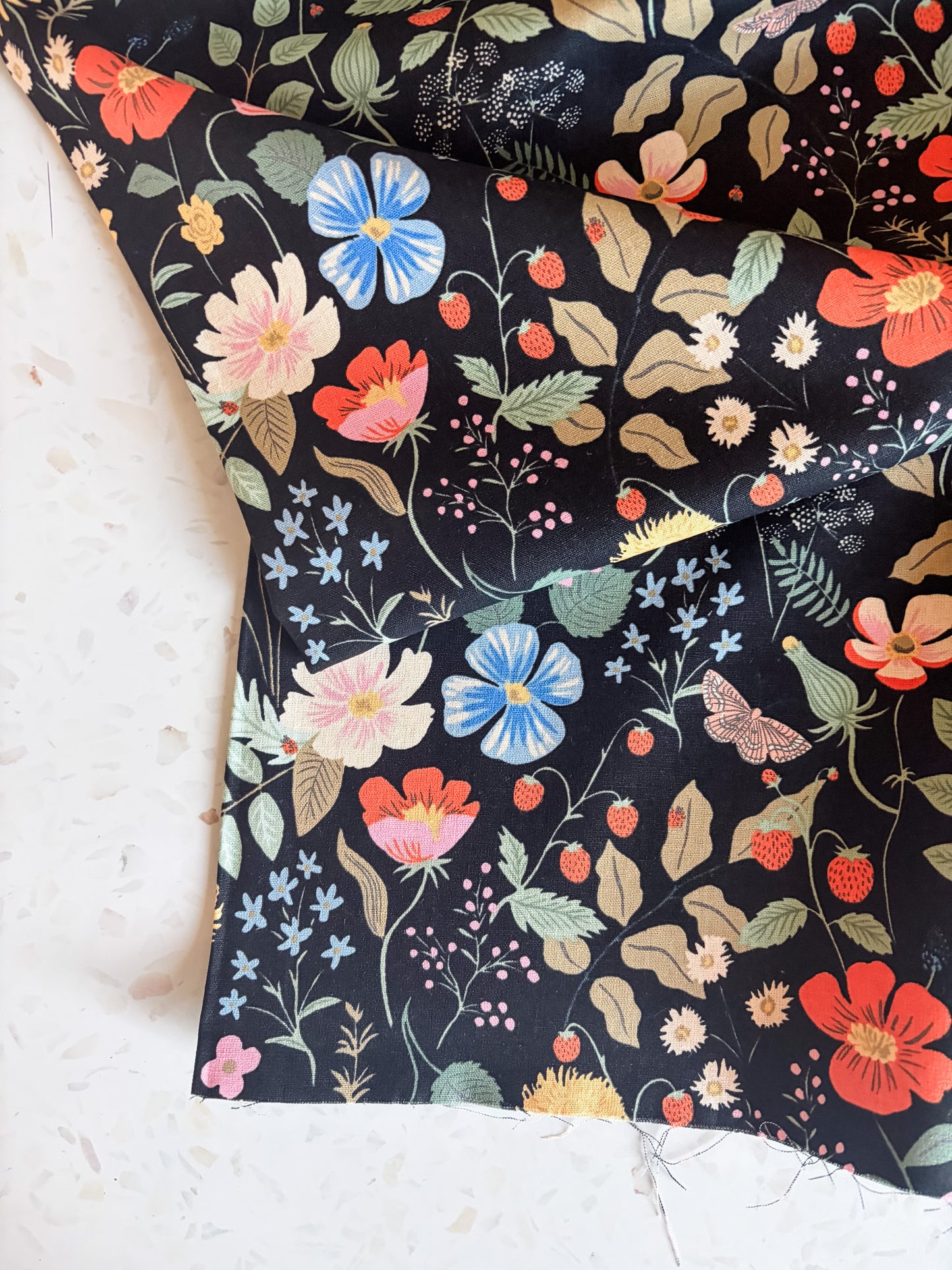 Strawberry Fields Canvas Fabric in Black