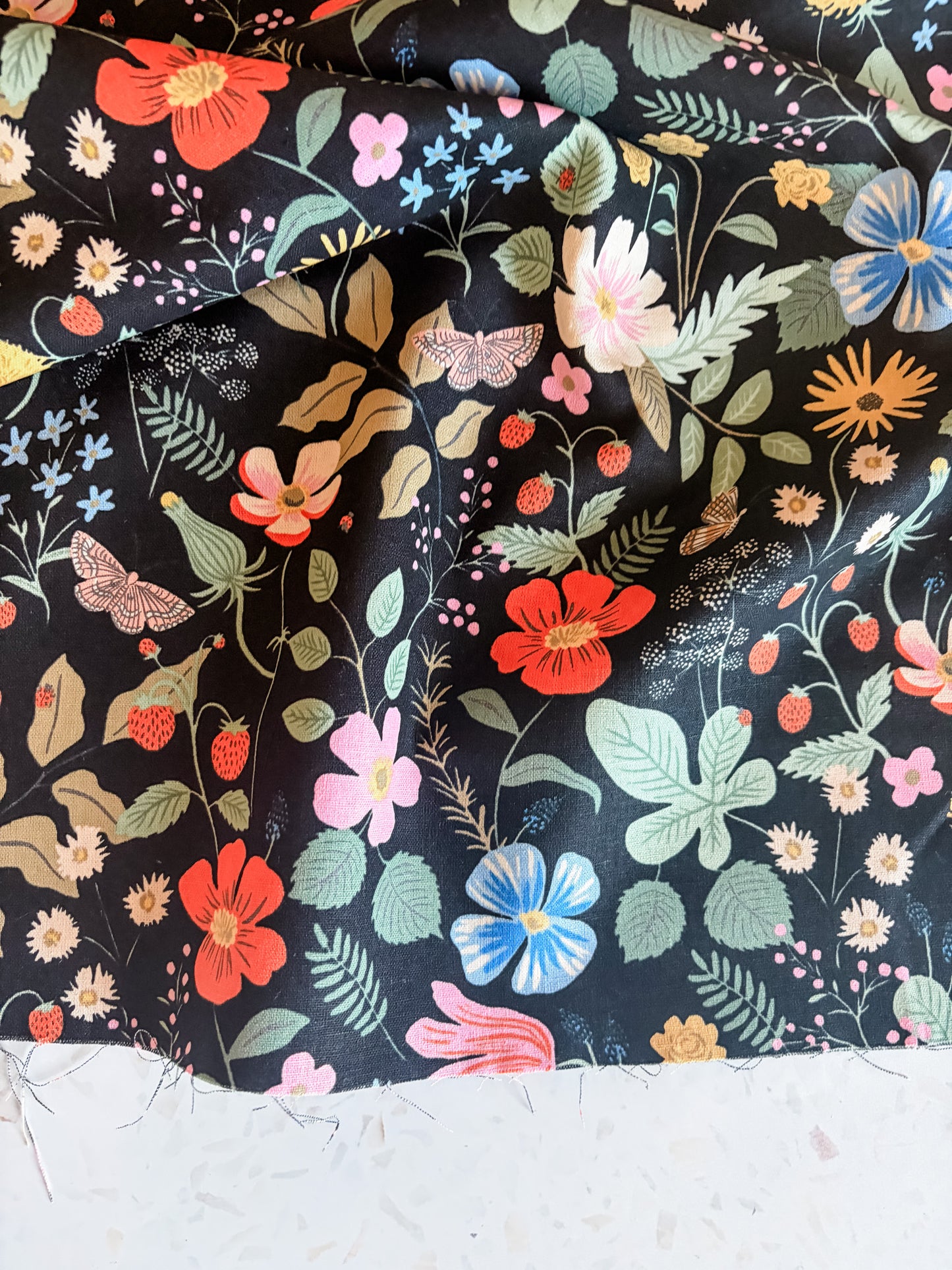 Strawberry Fields Canvas Fabric in Black