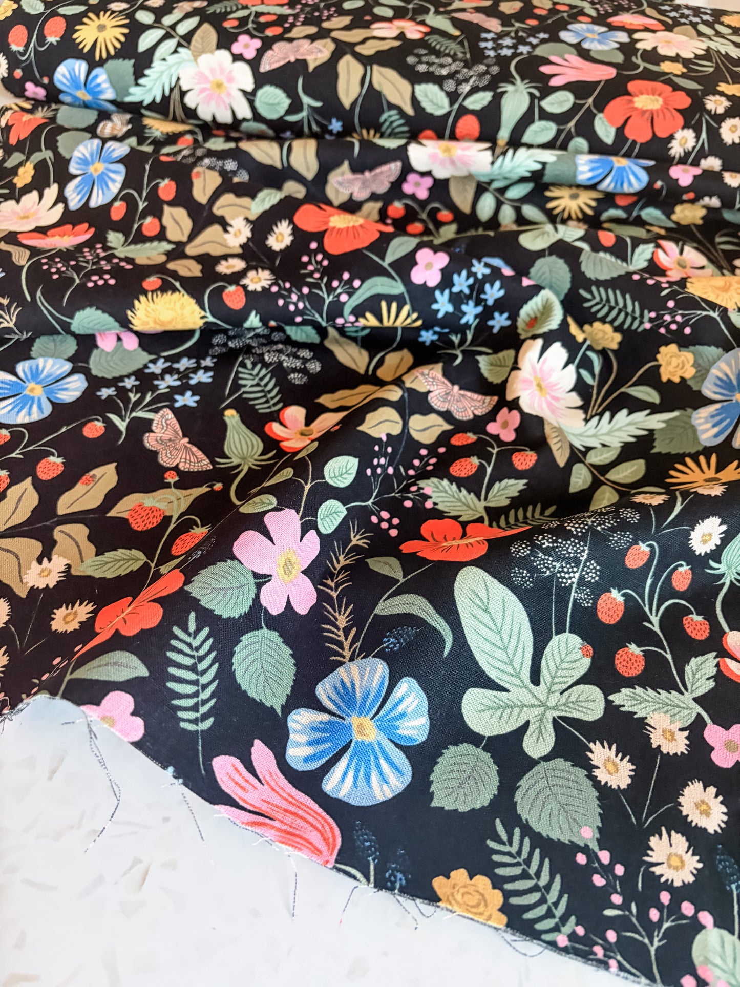 Strawberry Fields Canvas Fabric in Black