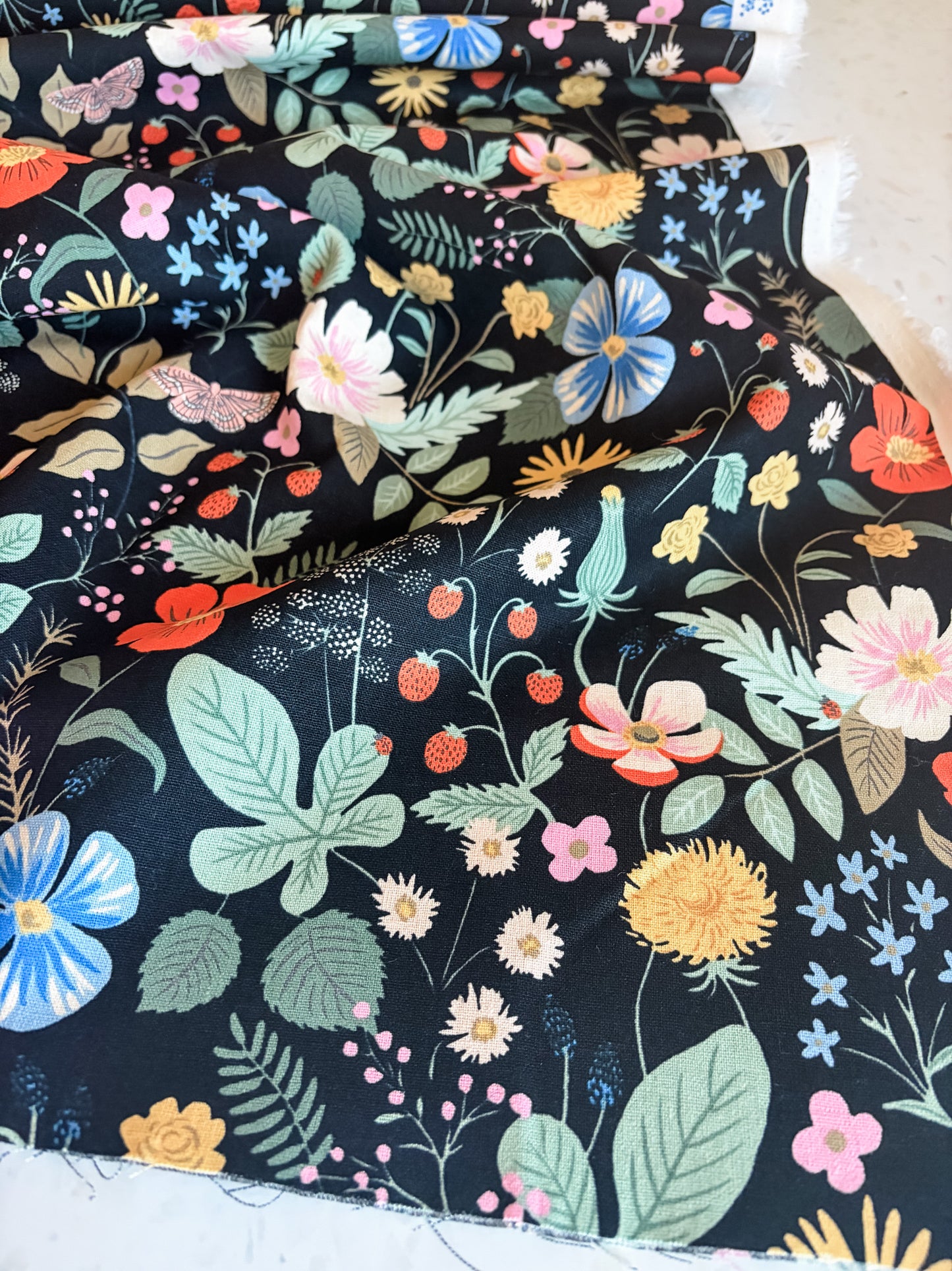 Strawberry Fields Canvas Fabric in Black