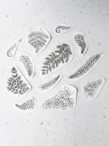 Ferns Embroidery Patterns - Stick and Stitch Botanical Embroidery