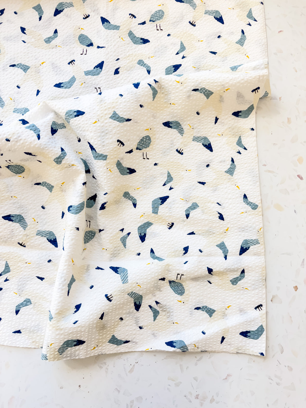 Coastal Gulls | Cotton Seersucker