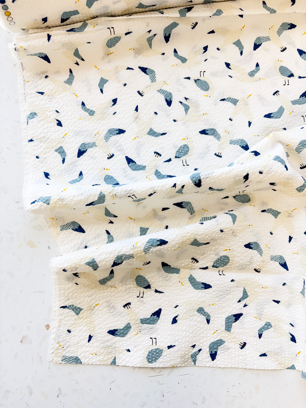 Coastal Gulls | Cotton Seersucker