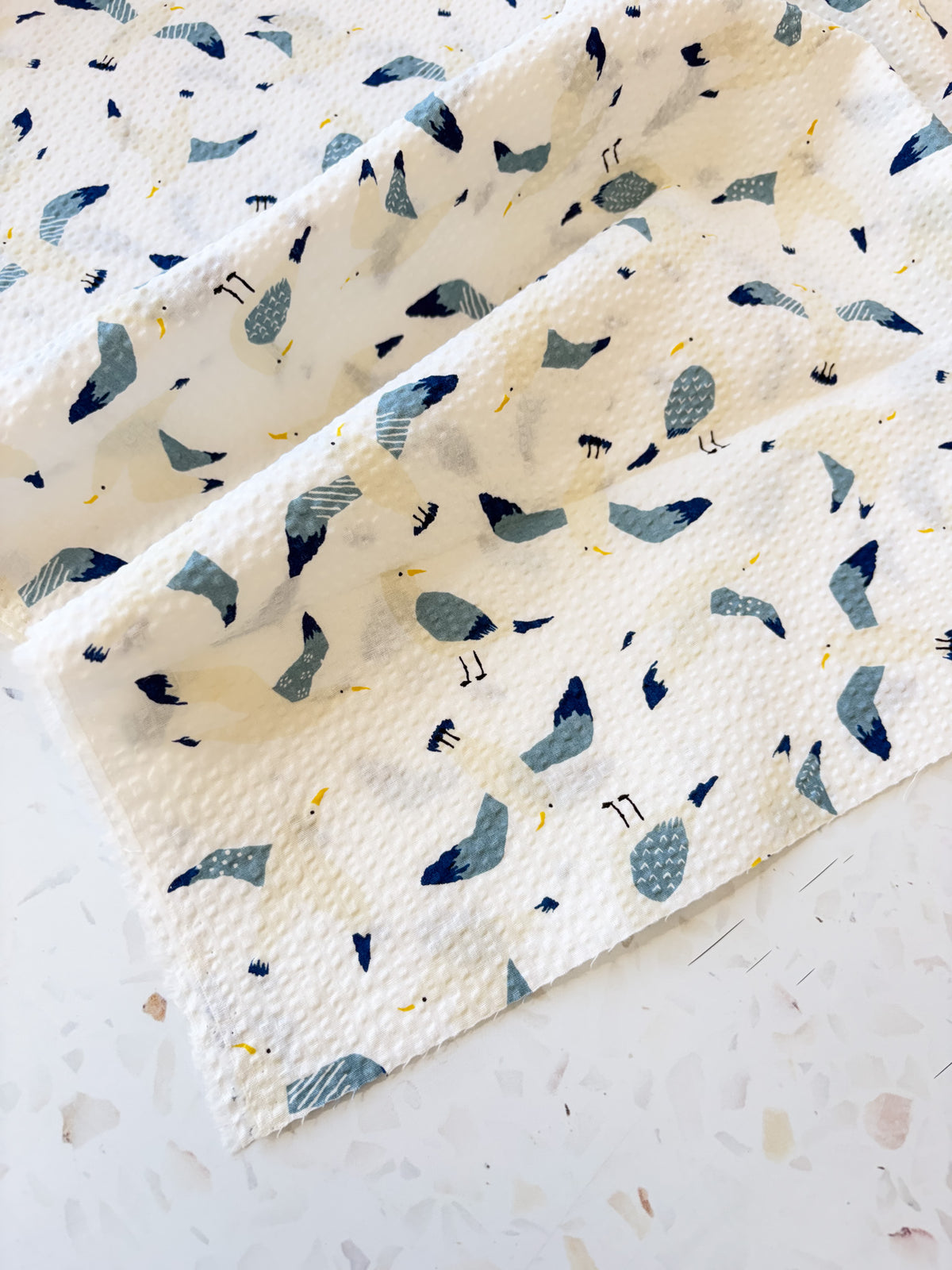 Coastal Gulls | Cotton Seersucker