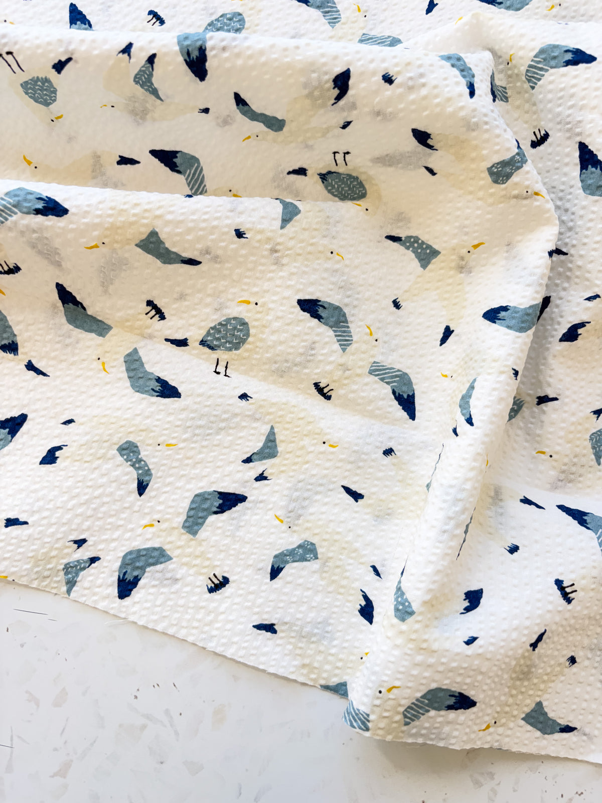 Coastal Gulls | Cotton Seersucker