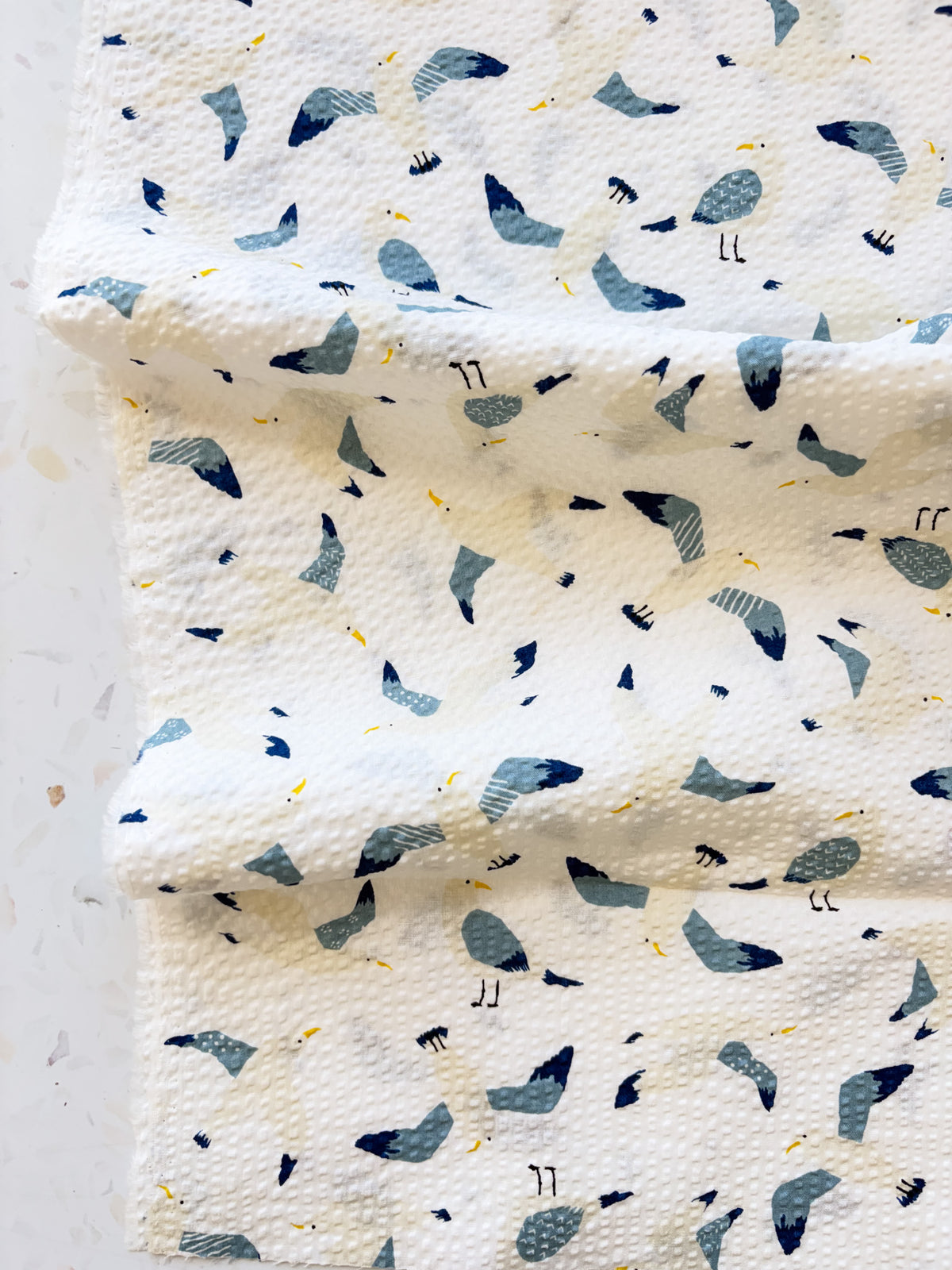 Coastal Gulls | Cotton Seersucker