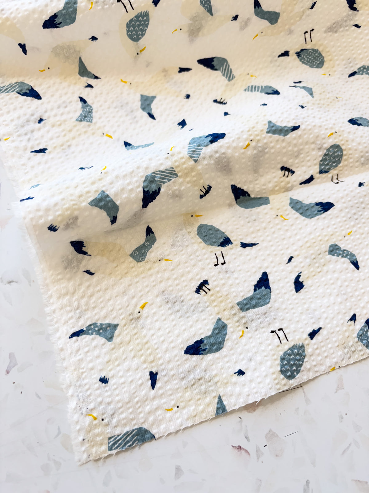 Coastal Gulls | Cotton Seersucker