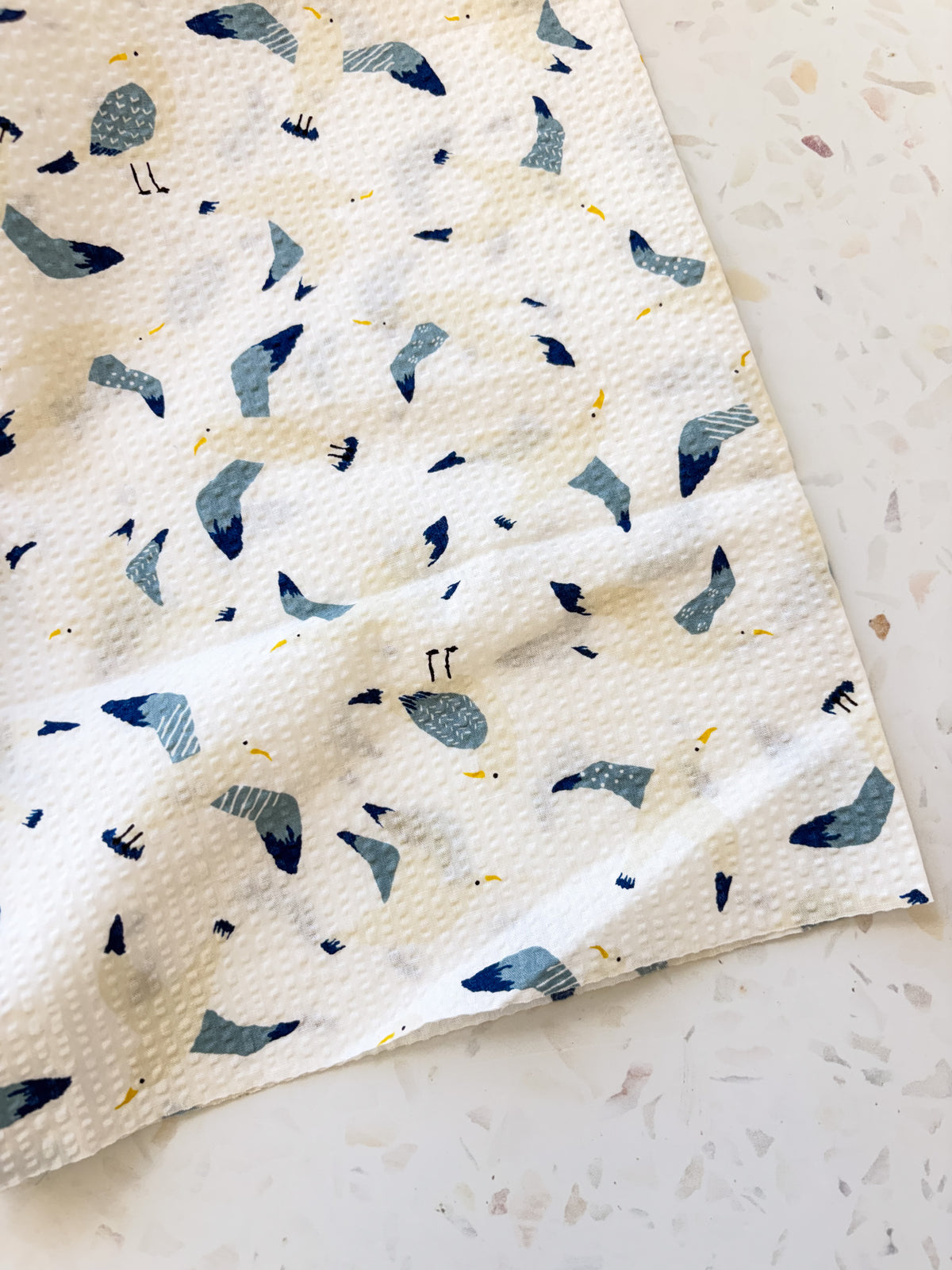 Coastal Gulls | Cotton Seersucker