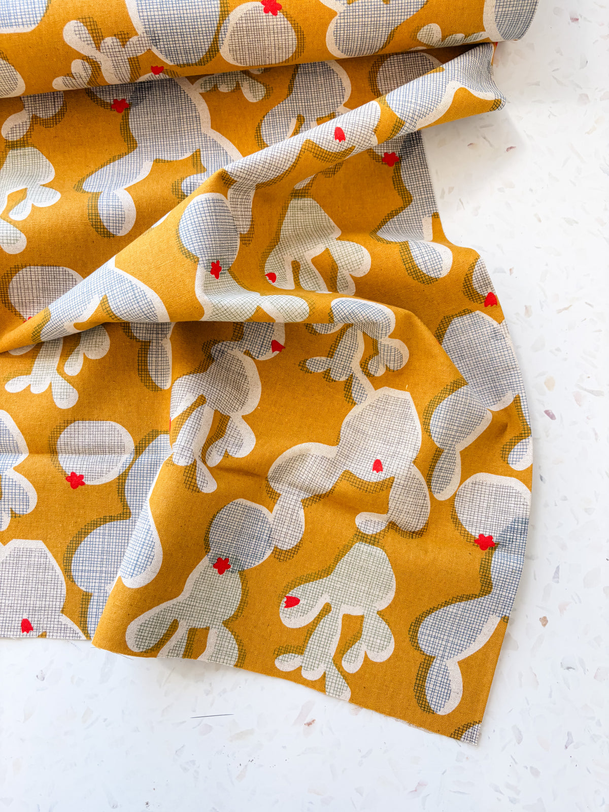 Golden Hour Cactus | Cotton Canvas