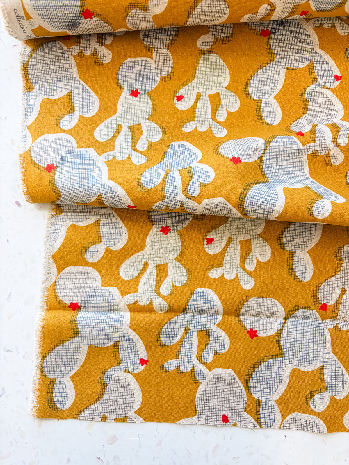 Golden Hour Cactus | Cotton Canvas