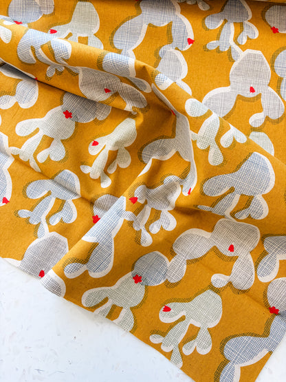 Golden Hour Cactus | Cotton Canvas