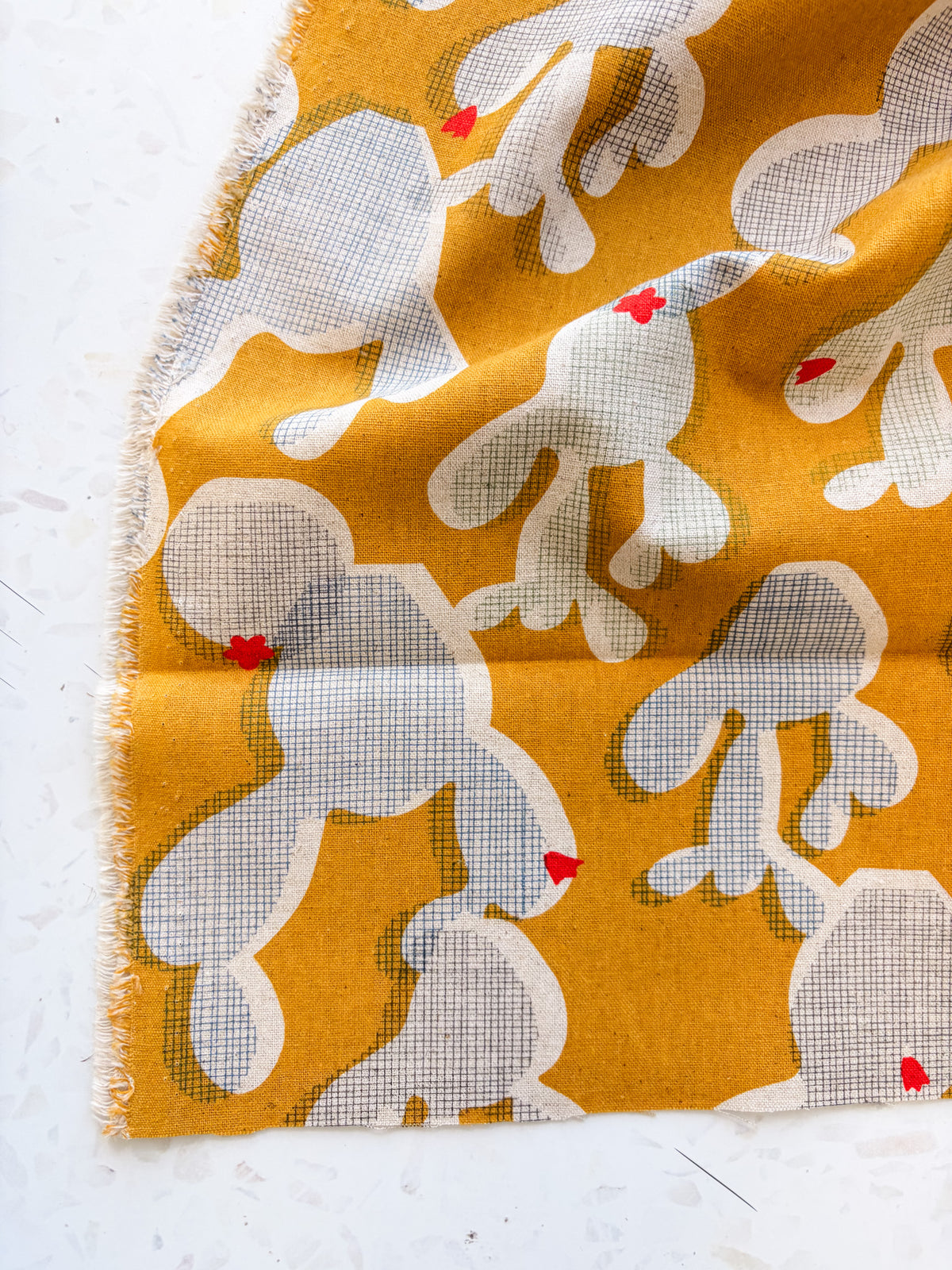 Golden Hour Cactus | Cotton Canvas