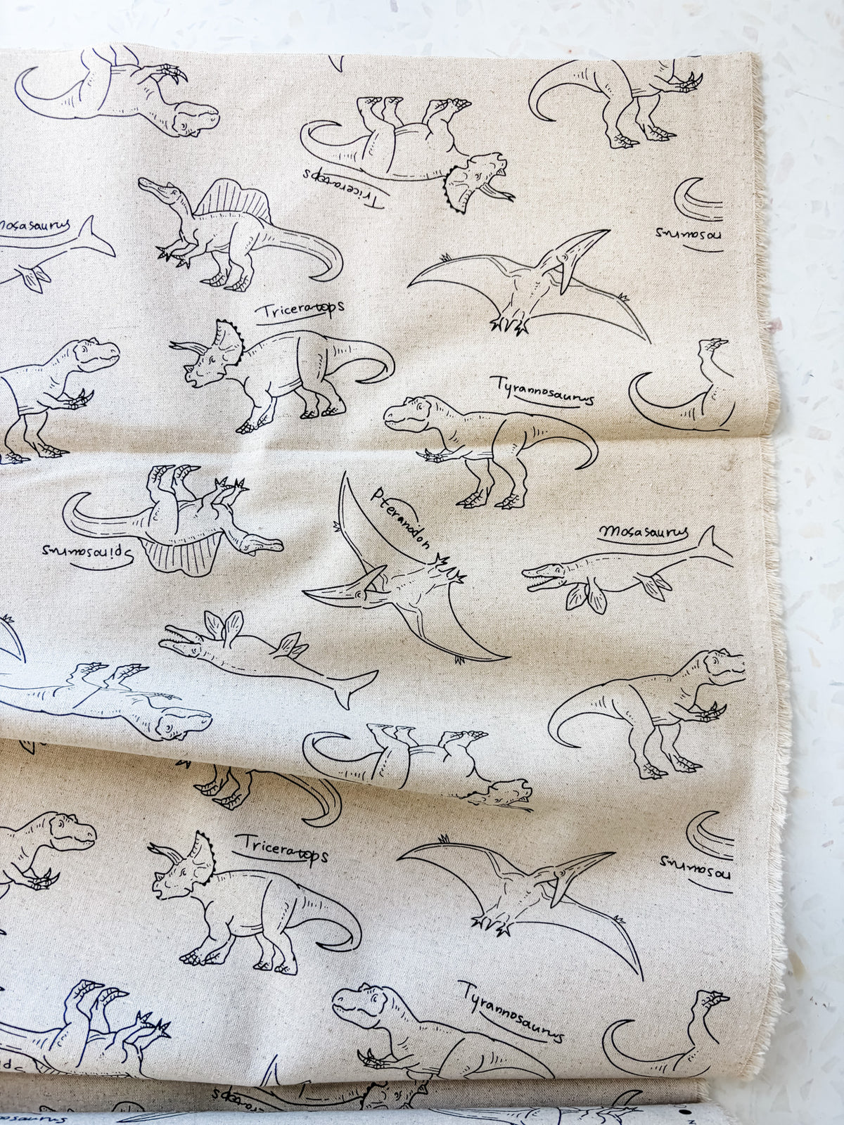 Prehistoric Field Notes | Cotton-Linen Canvas