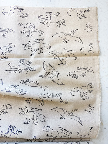 Prehistoric Field Notes | Cotton-Linen Canvas