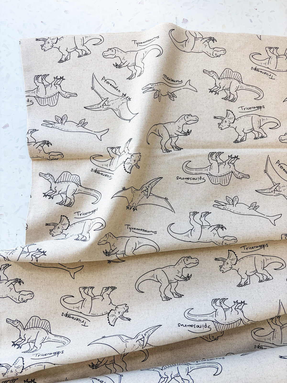 Prehistoric Field Notes | Cotton-Linen Canvas