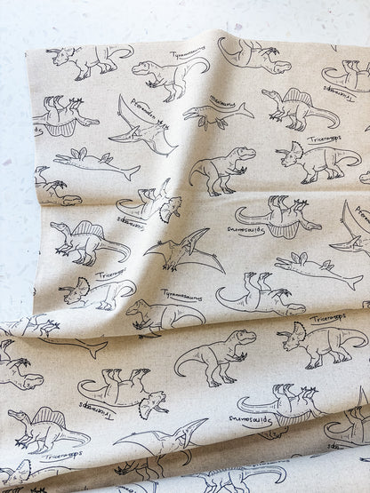 Prehistoric Field Notes | Cotton-Linen Canvas