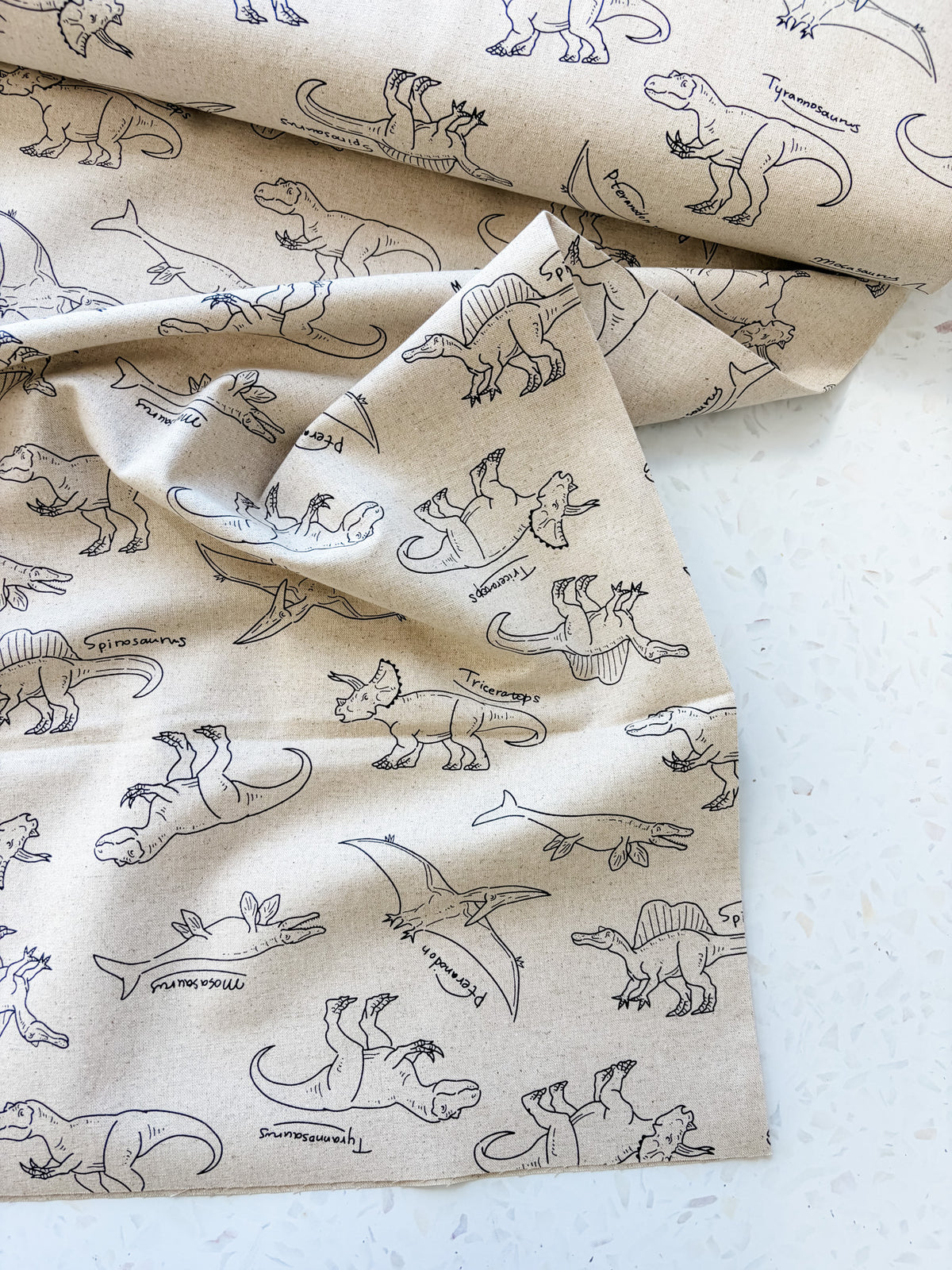 Prehistoric Field Notes | Cotton-Linen Canvas