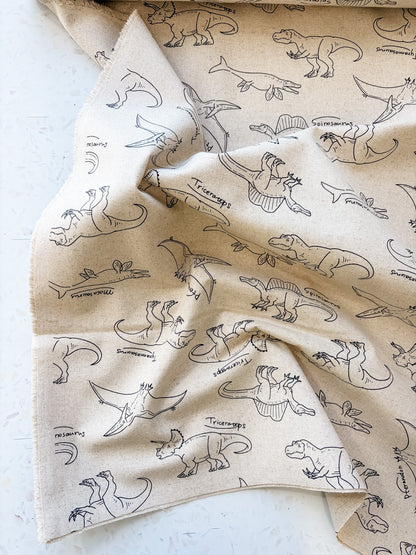 Prehistoric Field Notes | Cotton-Linen Canvas