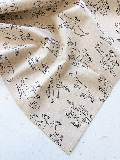 Prehistoric Field Notes | Cotton-Linen Canvas