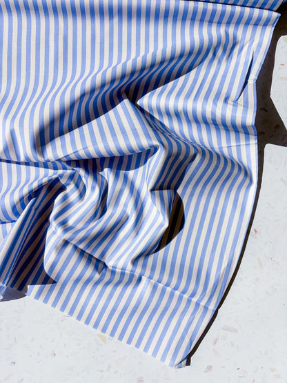 August Ellery Stationer's Stripe | Delft Rinse